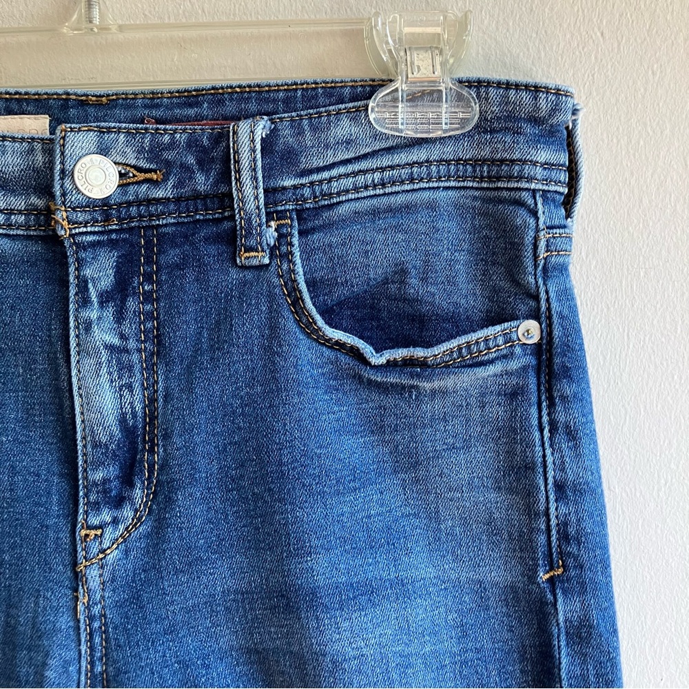 Anthropologie Pilcro Mid Rise Slim Boyfriend Crop Jeans Size 27 Distressed Denim - Picture 7 of 14